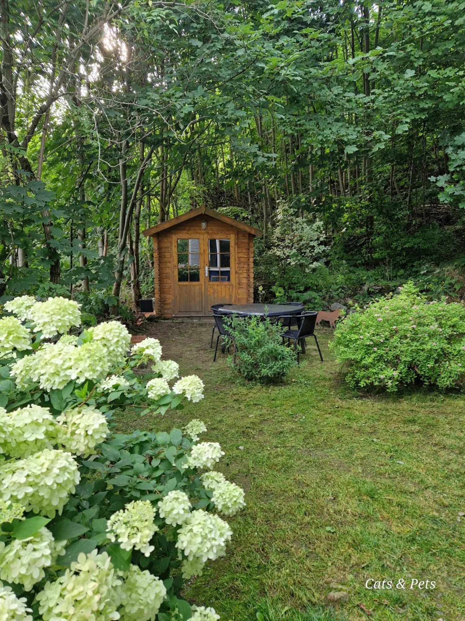 Platell Ferienhausverwaltung Sankt Andreasberg Ngoại thất bức ảnh